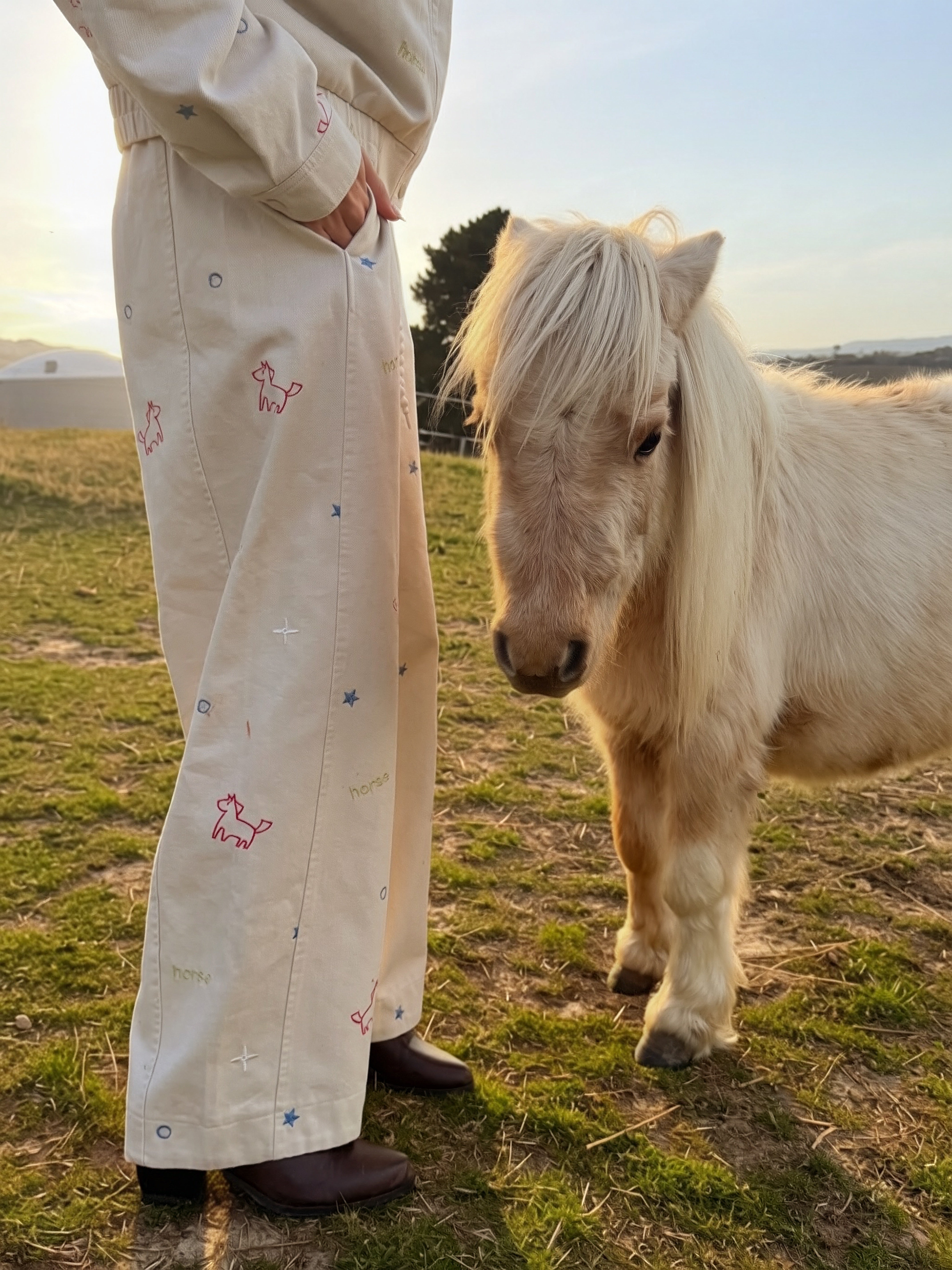 PRE-ORDER 1ST JULY Ezra Pant - Howdy