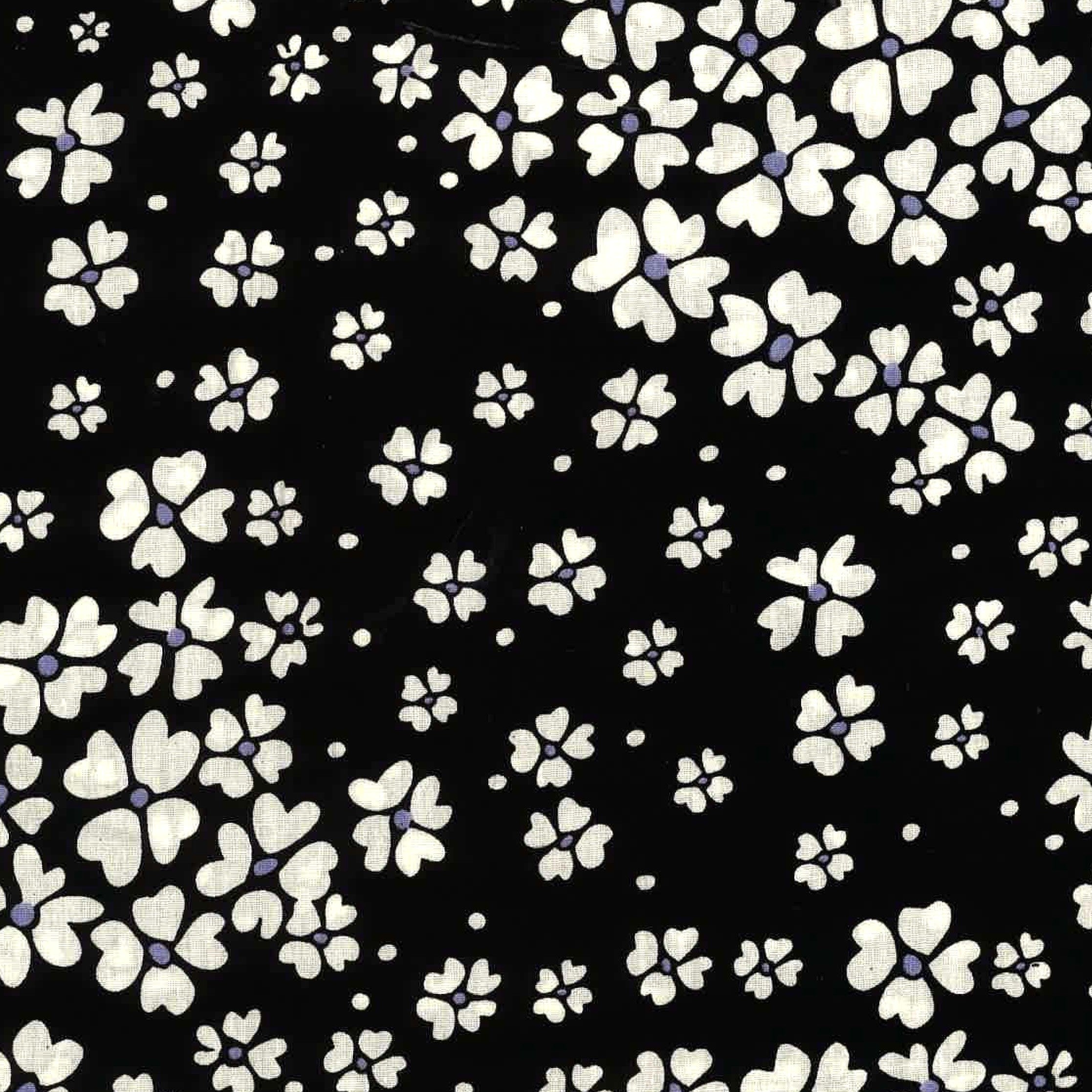 Night Bloom