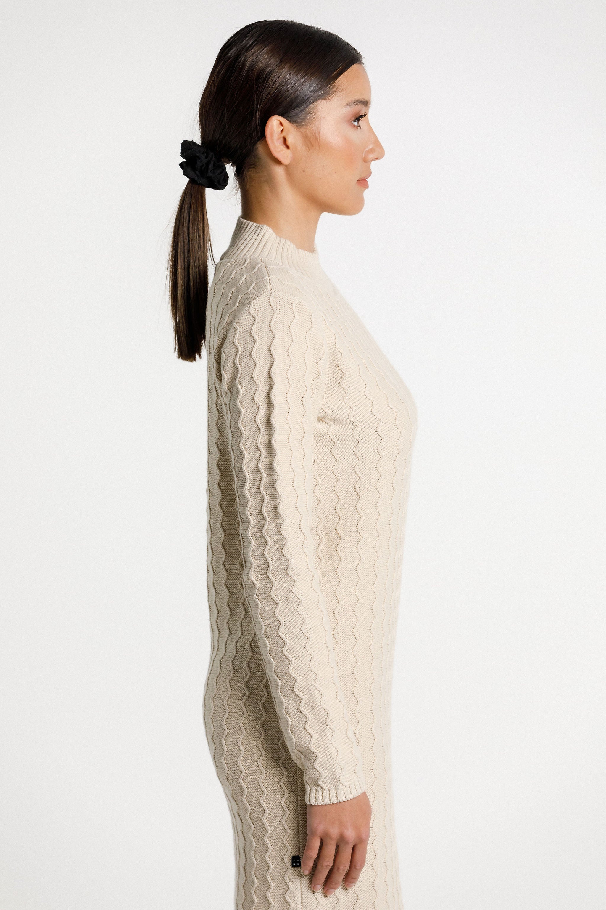 Zigzag Turtle Neck Dress - Latte